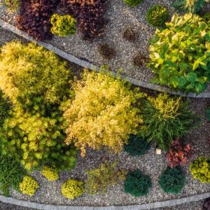 aerial-view-of-a-rockery-backyard-garden-2023-11-27-05-15-40-utc-1.jpg