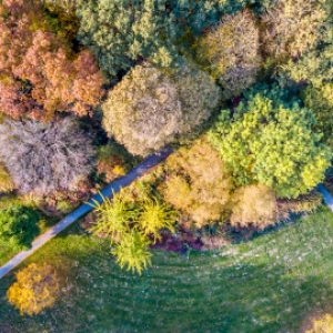 city-park-in-october-autumn-colors-2023-11-27-05-30-54-utc-1.jpg