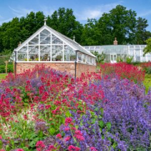 garden-and-greenhouse-2023-11-27-04-54-17-utc-1.jpg