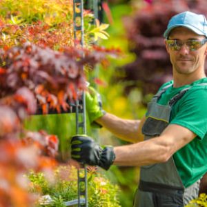 happy-garden-store-worker-2023-11-27-05-23-39-utc-1.jpg